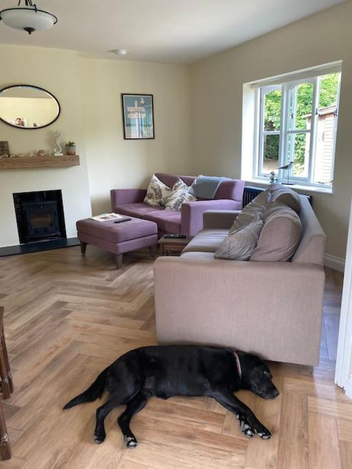 Lovely Quiet Cottage Sleeps 4 Adults, 4 Children, Dog Friendly Клей-некст-зе-Си Экстерьер фото
